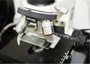 CU-2(YG(B)002)纤维细度综合分析仪实验室检测设备