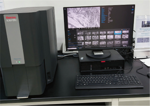 荷兰Phenom Pure扫描电镜检测设备